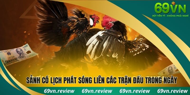 Sảnh có lịch phát sóng liên các trận đấu trong ngày